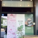 원주카페 빙수맛집 그리너리 복숭아빙수 솔직후기