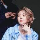 이레다미