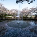 동광농장 이미지