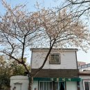 새마을세탁소 이미지