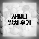 유플란트치과의원 | 🦷 [내돈내산_사랑니 발치 후기] 위아래 동시 발치 &amp; 매복 사랑니 순삭! (주차 꿀팁)