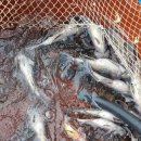 무등펜션 이미지