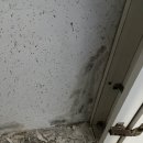 샘마을우방 | 안양 샘마을 우방아파트 베란다페인트 탄성코트(바이오세라믹) 시공후기