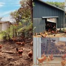 웰빙영농조합 농장 이미지