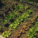 하도민박 이미지