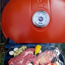 제주배또롱 이미지