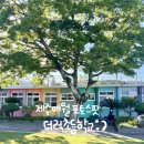 무지개초등학교 | 제주 애월 아이랑 가볼 만한 곳 추천, 더럭초등학교(더럭분교) 무지개 감성 포토스팟 후기