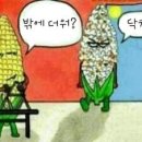 사계절사진관 네이버블로그
