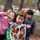 대전숲어린이집 이미지