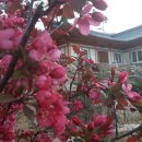 한솔펜션2 이미지