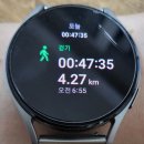 장자호수공원 장미터널 이미지