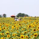 강주마을회관 이미지