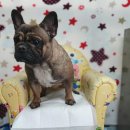 소답동225 이미지