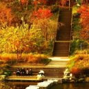 프라임서초부동산중개사무소 네이버블로그