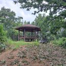 지에스25 파주사랑점 이미지