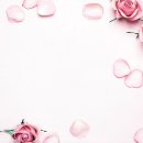 연출미용실 - 경산시 | 연출미용실