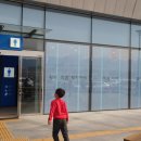 김해금관가야 이미지