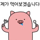 산호동365 이미지