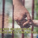 풍성식당 이미지