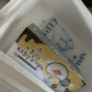 [봄날엔] 초코퐁당 🍯요거꿀떡, 초코초꾸덕🍫 내돈내산 후기