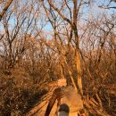 노고단 가을 하이킹 🍂 이미지