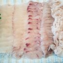 추암팬션 이미지