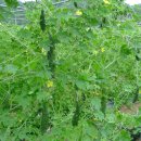 민기농장 이미지