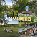 원평분수공원 농구장 | 서울 공원 추천 보라매공원 주차장 음악분수 피크닉