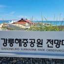 사근진해변 해중공원 이미지