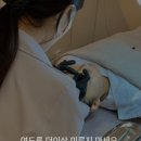 아온에스테틱 - 수원시 장안구 | 아온에스테틱