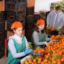 순익농장 이미지