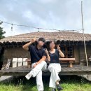 섬이라니,좋잖아요 이미지