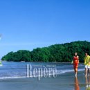 해피관광하나투어 이미지