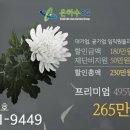 동행장례토탈서비스 이미지