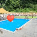 스쿨오브파르크(school of parc) | 대구 가창 애견카페 파르크우록 후기,1600평 천연 잔디와 수영장 완벽한 곳