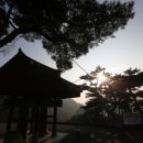 약동안양 이미지