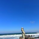 박산경로식당 | 강릉 경포대 맛집 햄버거 :: 버거바 여기 오면 이거 한 번 먹어줘야지!