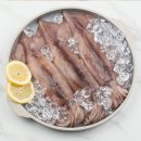 주식회사 에버스 이미지