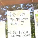 김해 장유 견생냥품 애견간식 24시 무인 애견용품점 애견동반카페 내돈내산 솔직후기