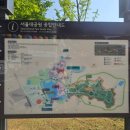 서울대공원 동물원 리프트 코끼리열차 아이랑 동선 후기