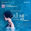 동래문화회관 대극장 이미지