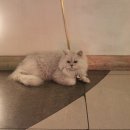단골 노래연습장 네이버블로그
