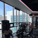 렉스휘트니스 이미지