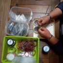 평택보청기 독일보청기 이미지