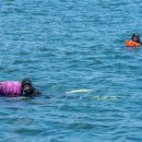 보령시청 민원동 이미지