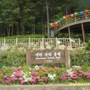 아미초등학교 이미지