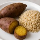 머슬드래곤짐 이미지