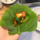 대전 수통골맛집 어른들 모시기 좋은 식당 오리요리 맛집 수통골 감나무집 본점 방문 후기