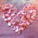 핑크스토리 이미지