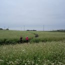 선운산농장 이미지